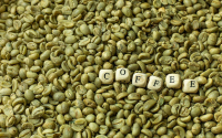 绿咖啡提取物的主要成分是什么?绿咖啡提取物降血压效果好吗