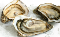 牡蛎肽与强解肝毒,牡蛎肽品牌排名