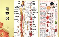 骨髓的重要性：民间中医蔡长福老先生的六经辨证图谱--骨空论