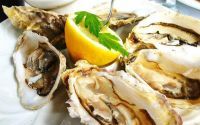 牡蛎的功效与食用方法及牡蛎肽