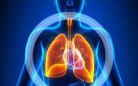 肺炎吃小分子肽有用吗？小分子活性肽对肺部疾病的效果怎么样？