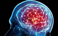 干细胞技术在修复大脑治疗神经退行性病变方面的应用