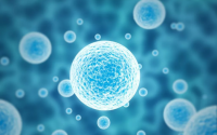 干细胞疗法在糖尿病治疗中的应用？干细胞能根治糖尿病吗？