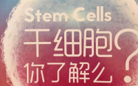 干细胞是什么？干细胞的功能与作用？干细胞治疗的前景与展望