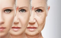 小分子肽在皮肤抗衰老中的应用，肽与祛斑祛皱纹