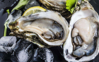 牡蛎与牡蛎肽的养生生功效