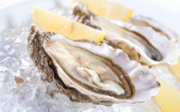 吃人参牡蛎肽有什么作用，牡蛎肽有没有副作用？