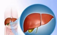 哪种肽对肝脏最好吸收,什么肽对肝好?