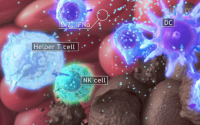 干细胞与免疫细胞的区别，干细胞做加法免疫细胞做减法