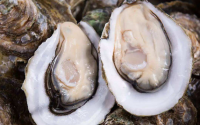 男人吃牡蛎肽对身体有哪些好处？