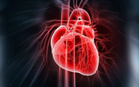 胶原蛋白对心脏的重要作用,冠心病人必看!!!