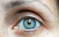 胶原蛋白肽对眼部的营养作用，小分子肽与视力改善
