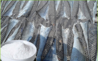 鱼胶原蛋白肽肽公认的功能与作用，鱼胶原蛋白肽品牌