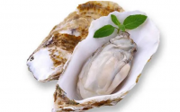都说牡蛎肽是壮阳的，女人可吃牡蛎肽吗？