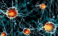 小分子肽对神经的调节作用，肽可诱导睡眠缓解神经衰弱