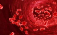 小分子肽对癌症病人血小板的提升作用，血小板低的原因