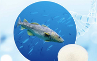鱼胶原蛋白肽与抗衰老抗自由基，鱼胶原抗衰老原理