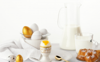 小分子肽蛋白质营养与鸡蛋牛奶的区别