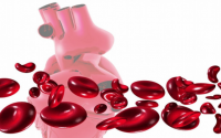 喝哪种肽对降血脂效果好，小分子生物活性肽与高血脂预防