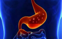 肠胃为好喝小分子肽管用吗？肽会不会增加肠胃蠕动
