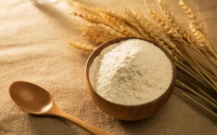 小麦竟然也可以做成肽——小麦低聚肽的营养功效