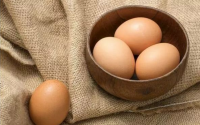 人一周吃100个鸡蛋会怎么样？会不会导致心脑血管疾病
