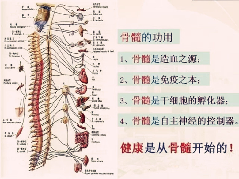 38456_副本.jpg