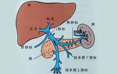 骨髓纤维化原因.jpg