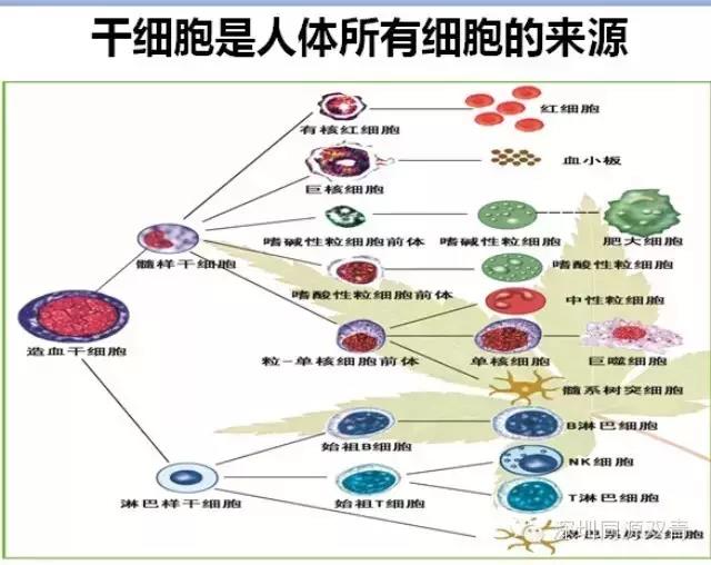 微信图片_20181207193001.jpg