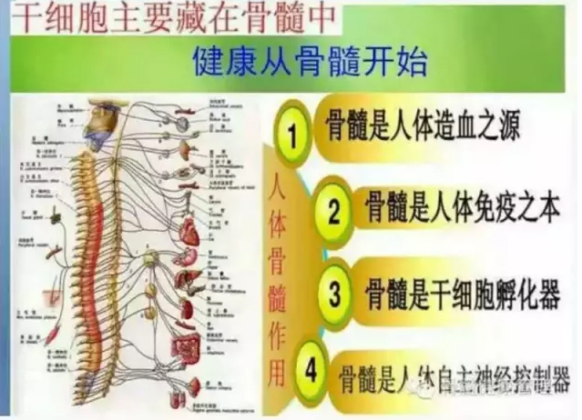 QQ图片20181207194220.png