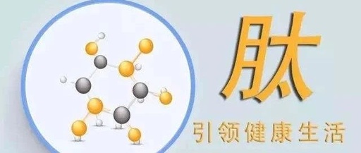 美极客小分子肽1.jpg