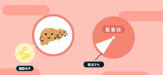 脂肪肝形成的原因.png