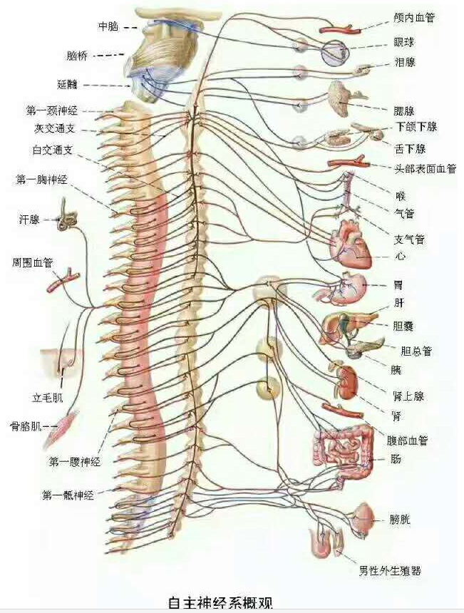 QQ图片20180616105109.png