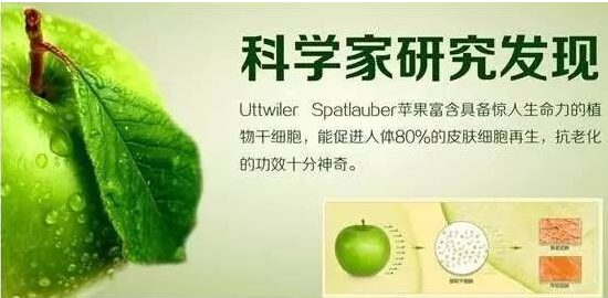 苹果干细胞功效与作用.png