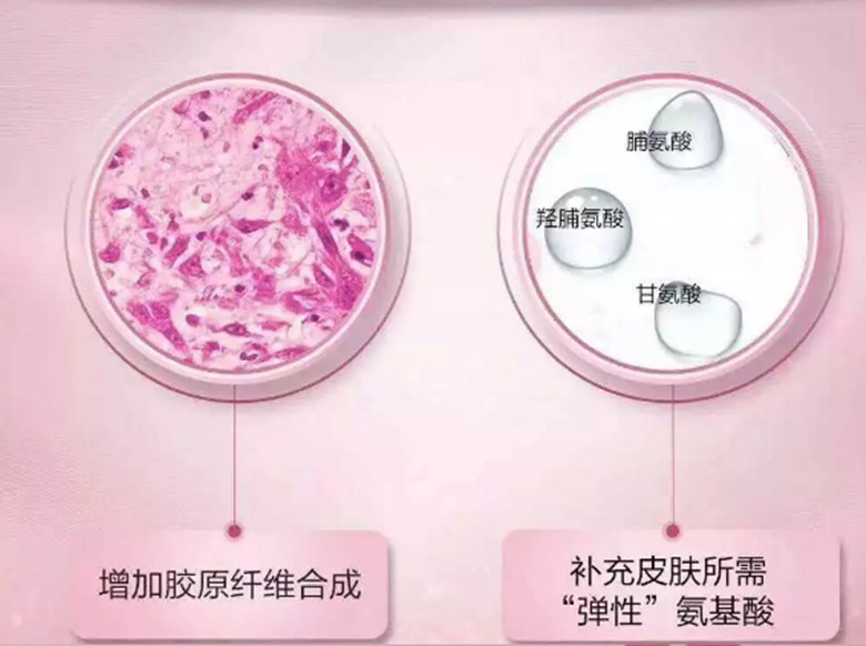 纽崔莱胶原蛋白肽1_副本.jpg