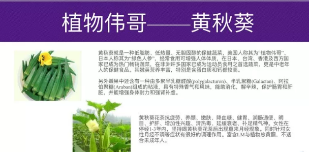 植物伟哥黄秋葵.png