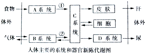 新陈代谢2.jpg