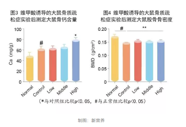 牛骨髓肽实验图2.png