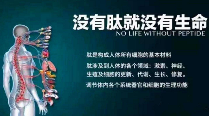 小分子肽对脑梗效果怎么样.png