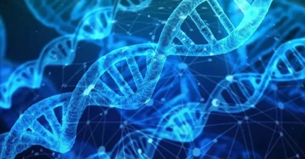 小分子肽对脉管炎效果怎么样.png 小分子肽对脉管炎效果怎么样.png