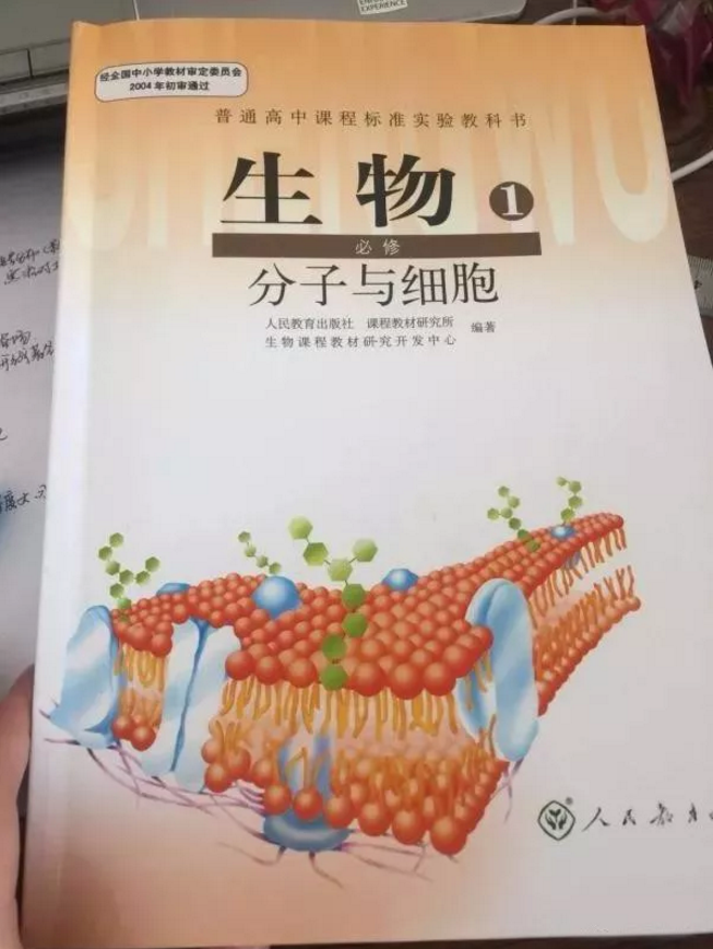 小分子肽是不是真的.png