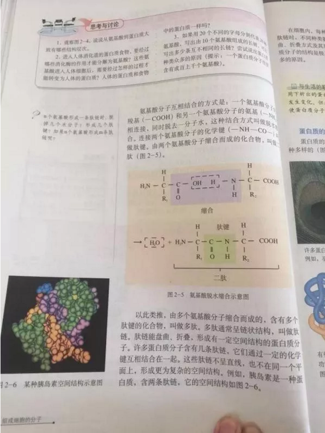 小分子肽是真的吗.png