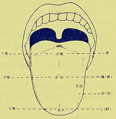 小分子肽是什么味道.png