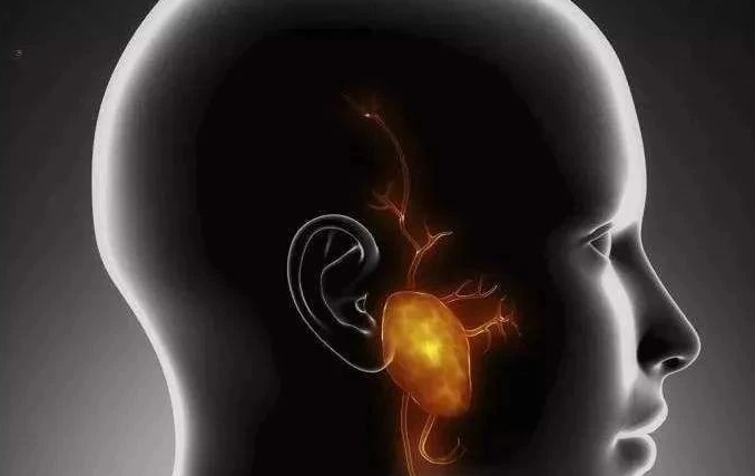 干细胞能治疗耳聋吗.png