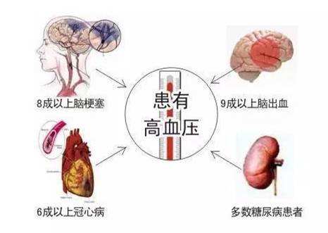 高血压的危害.jpg