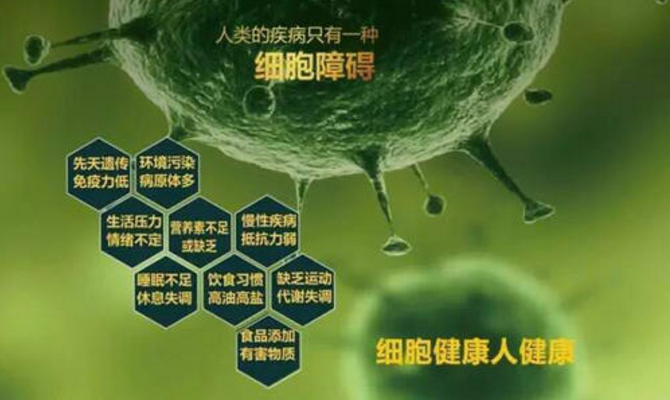 植物干细胞激活素.png