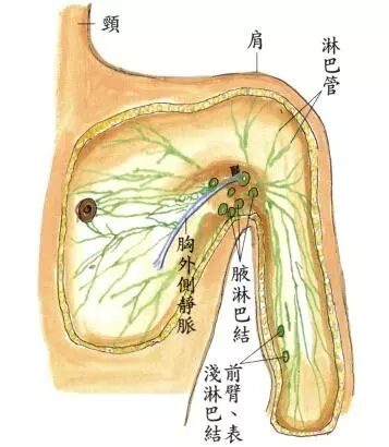 乳腺增生结节腋窝淋巴结肿大.jpg