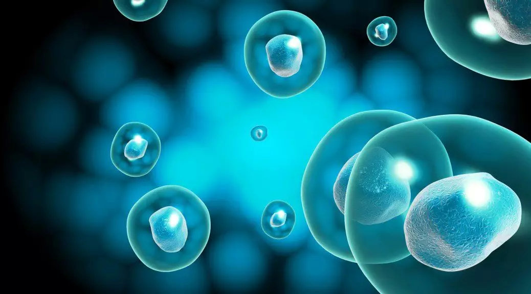 干细胞2.jpeg 干细胞2.jpeg