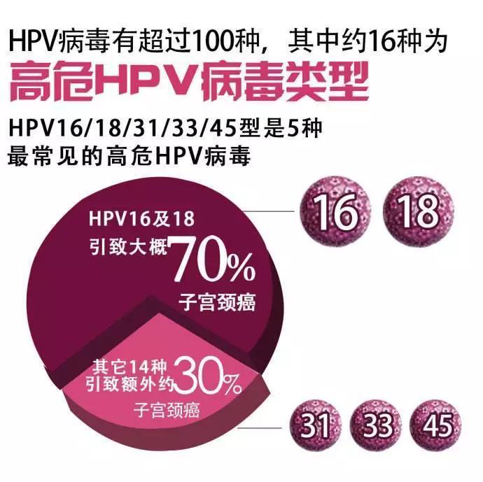HPV病毒1.jpg