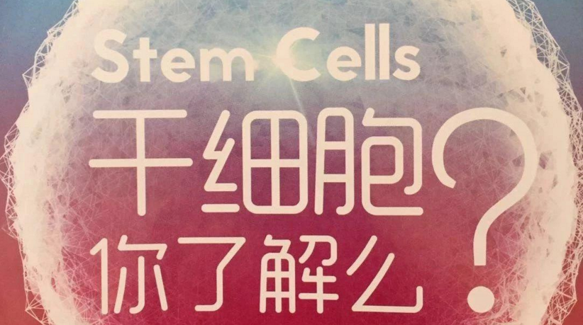 干细胞是什么.png